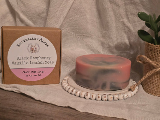 Loofah Soap- Black Raspberry Vanilla